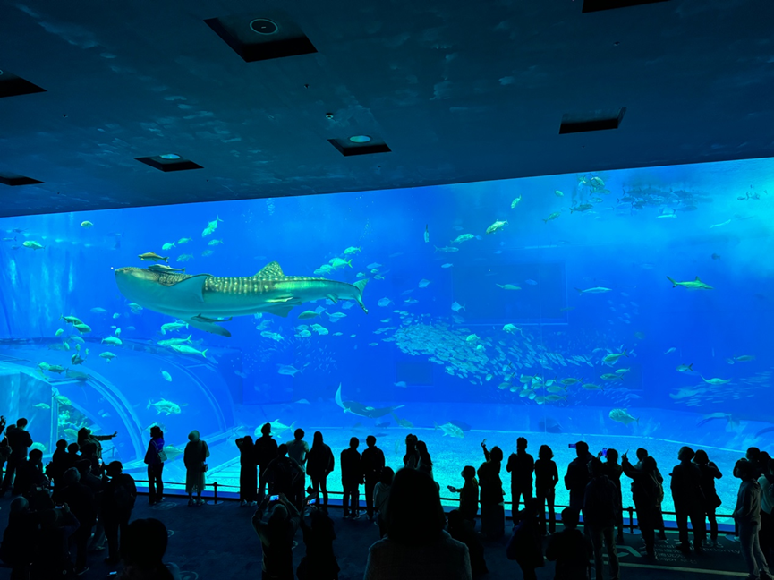 美麗海水族館