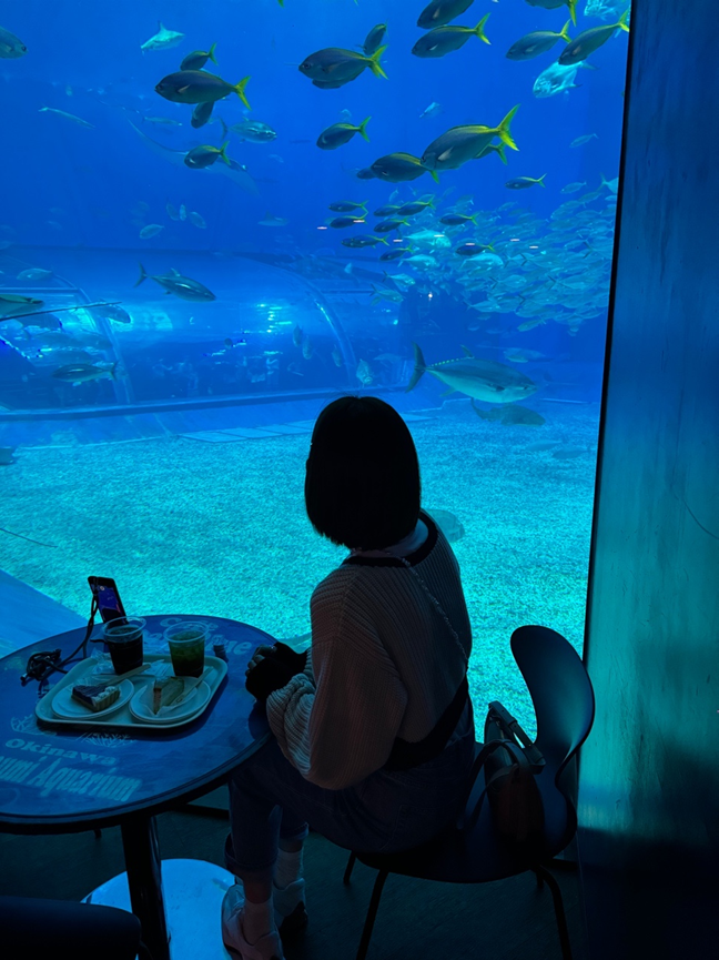 美麗海水族館